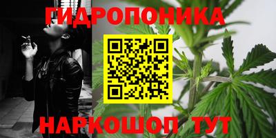 трава Обнинск