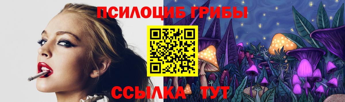 Чапаевск  Псилоцибиновые грибы MAGIC MUSHROOMS  купить закладку  Вход с VPN 
